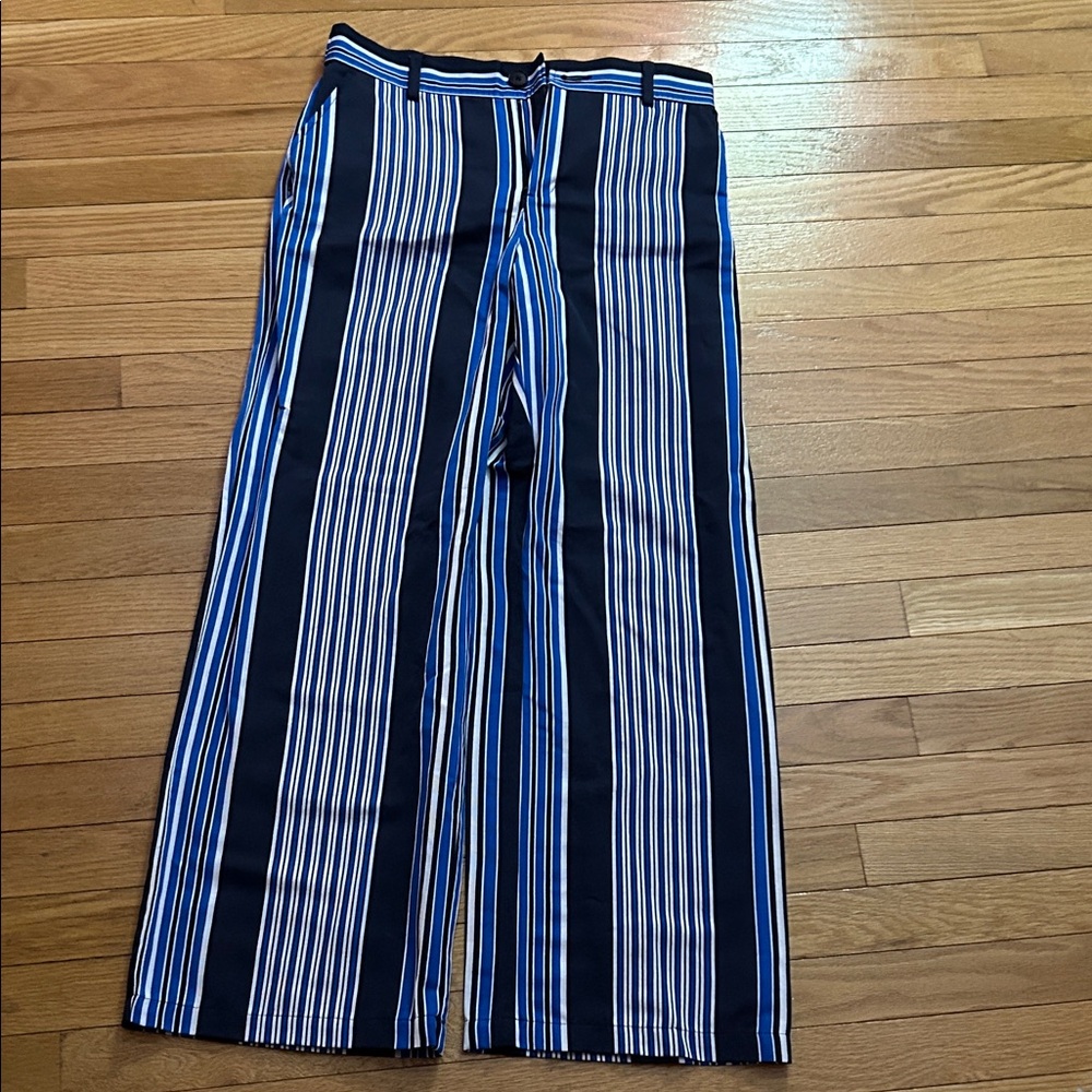 LOFT  Bold Striped Pants - Blue and White